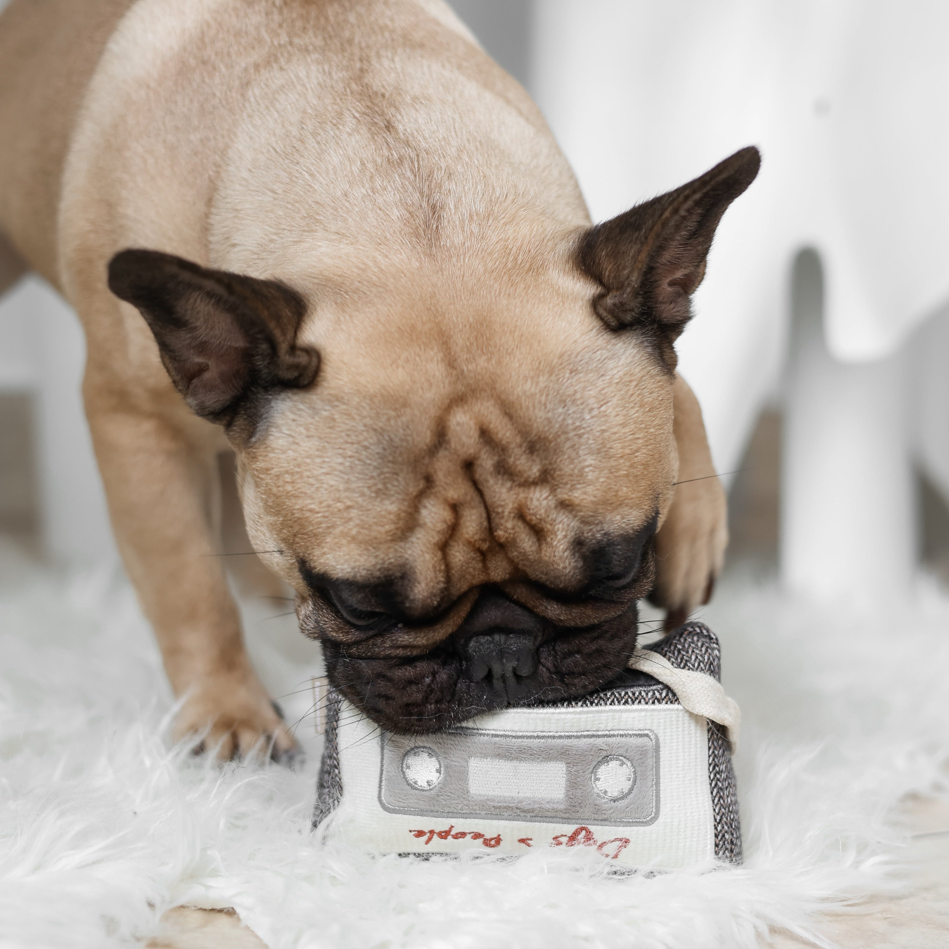 CASSETTE
