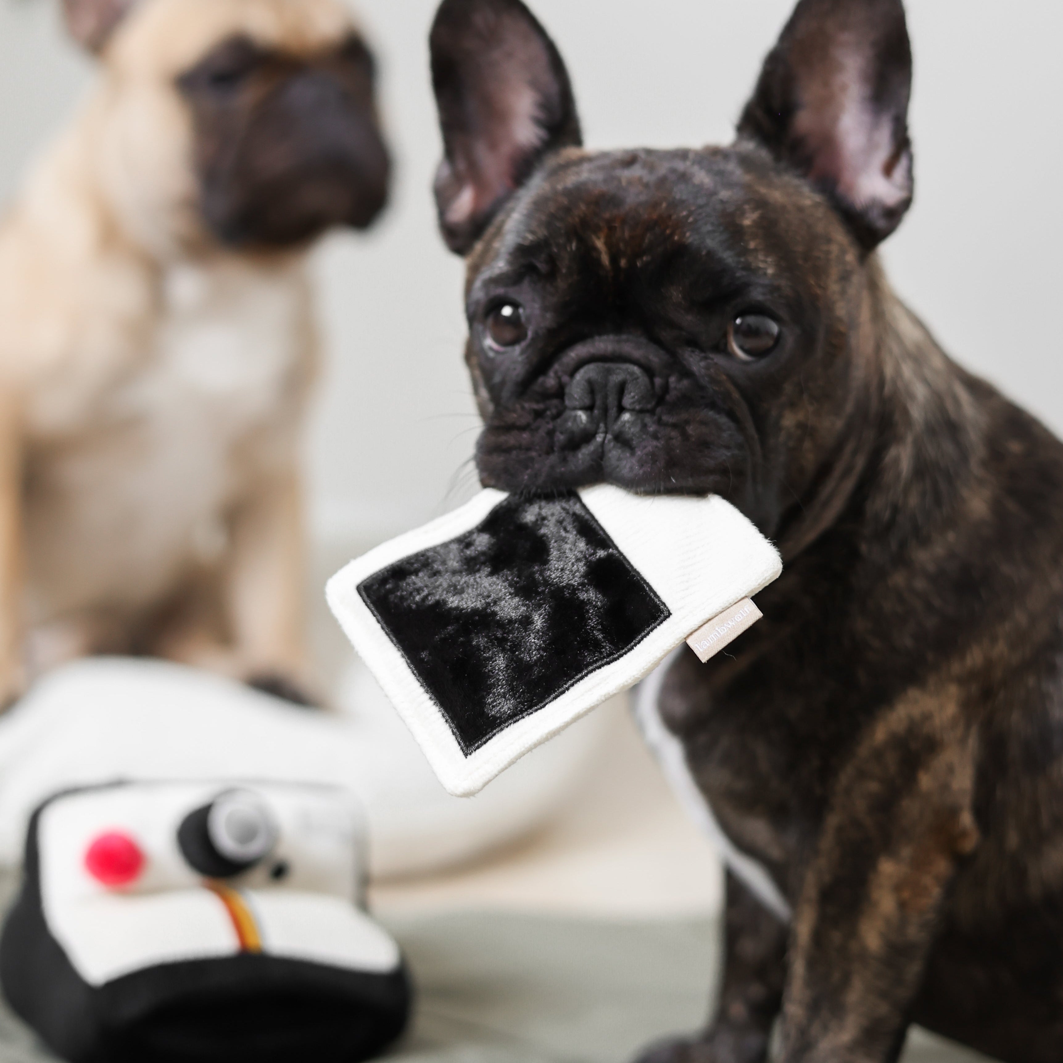 INSTANT CAMERA
