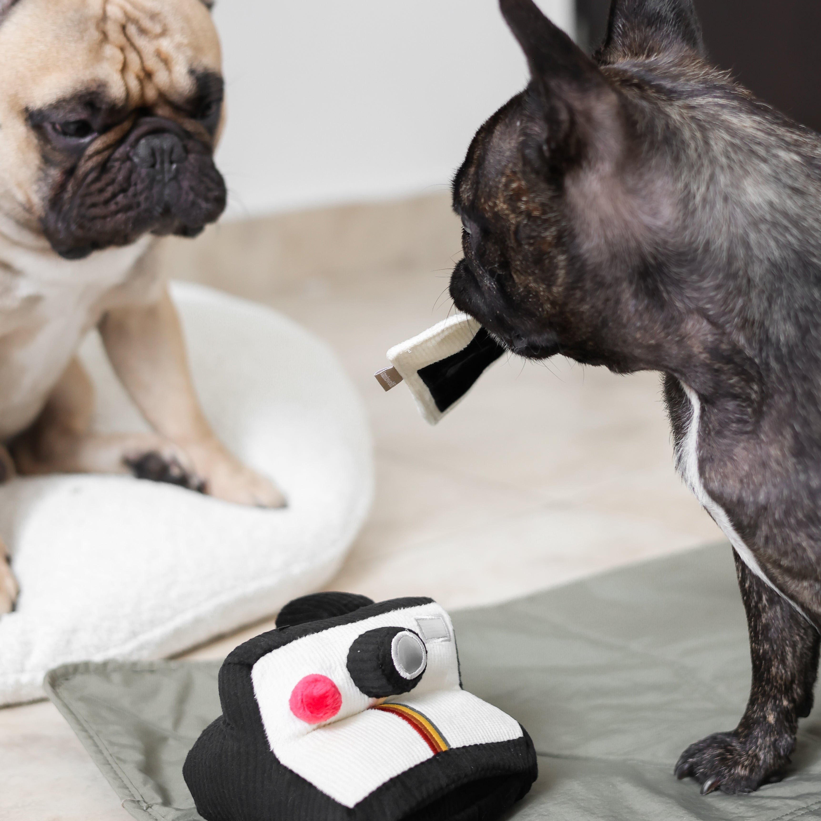 INSTANT CAMERA