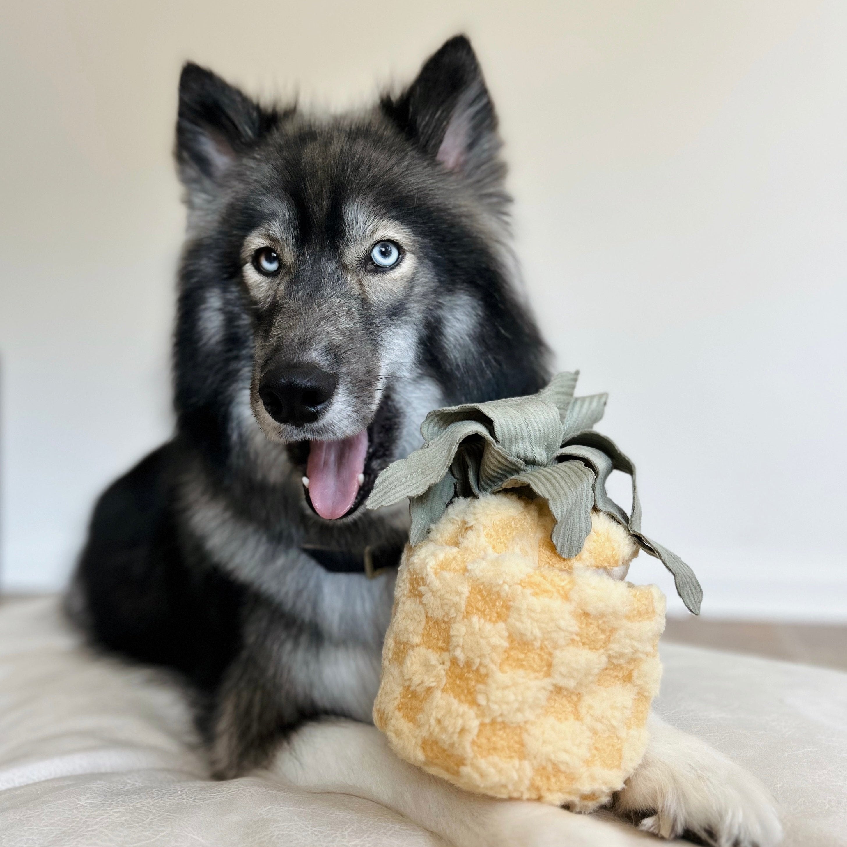 MY PINEAPPLE POP